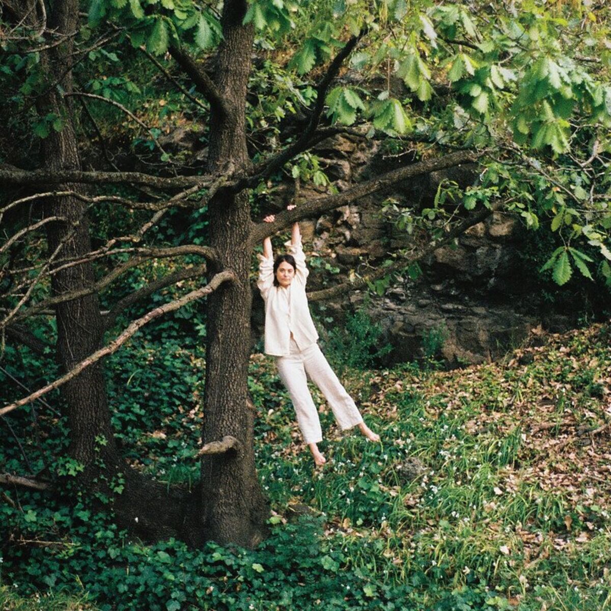 Album cover of Swimming