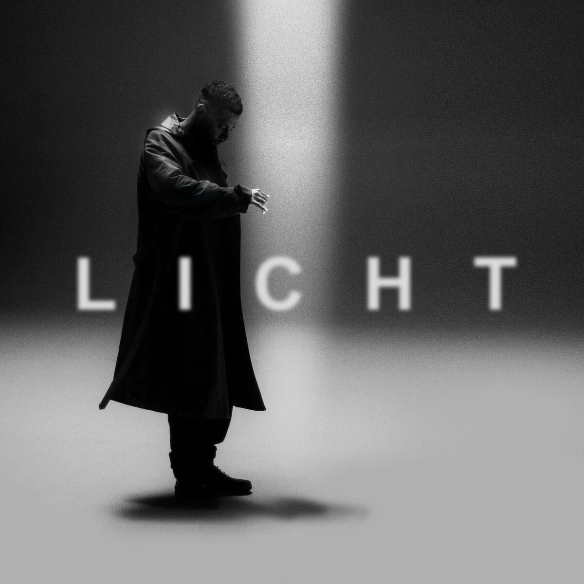 Album cover of Licht