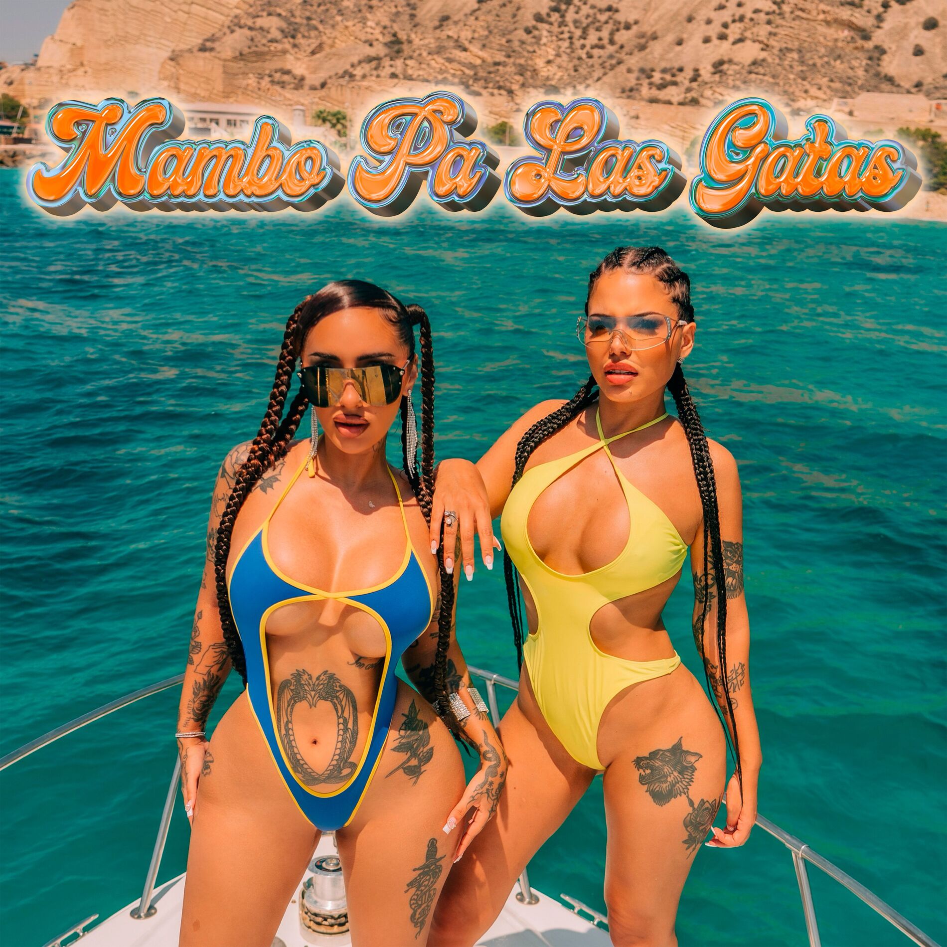 Album cover of Mambo Pa Las Gatas