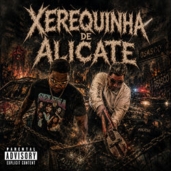 Cover of Xerequinha de Alicate by undefined