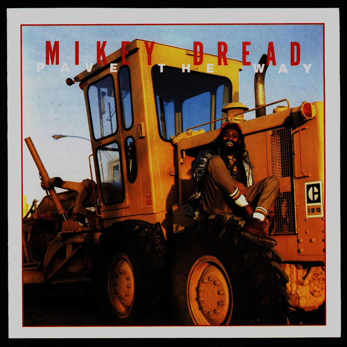 Album cover of Roots and Culture
