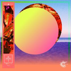 Cover of Botafuego