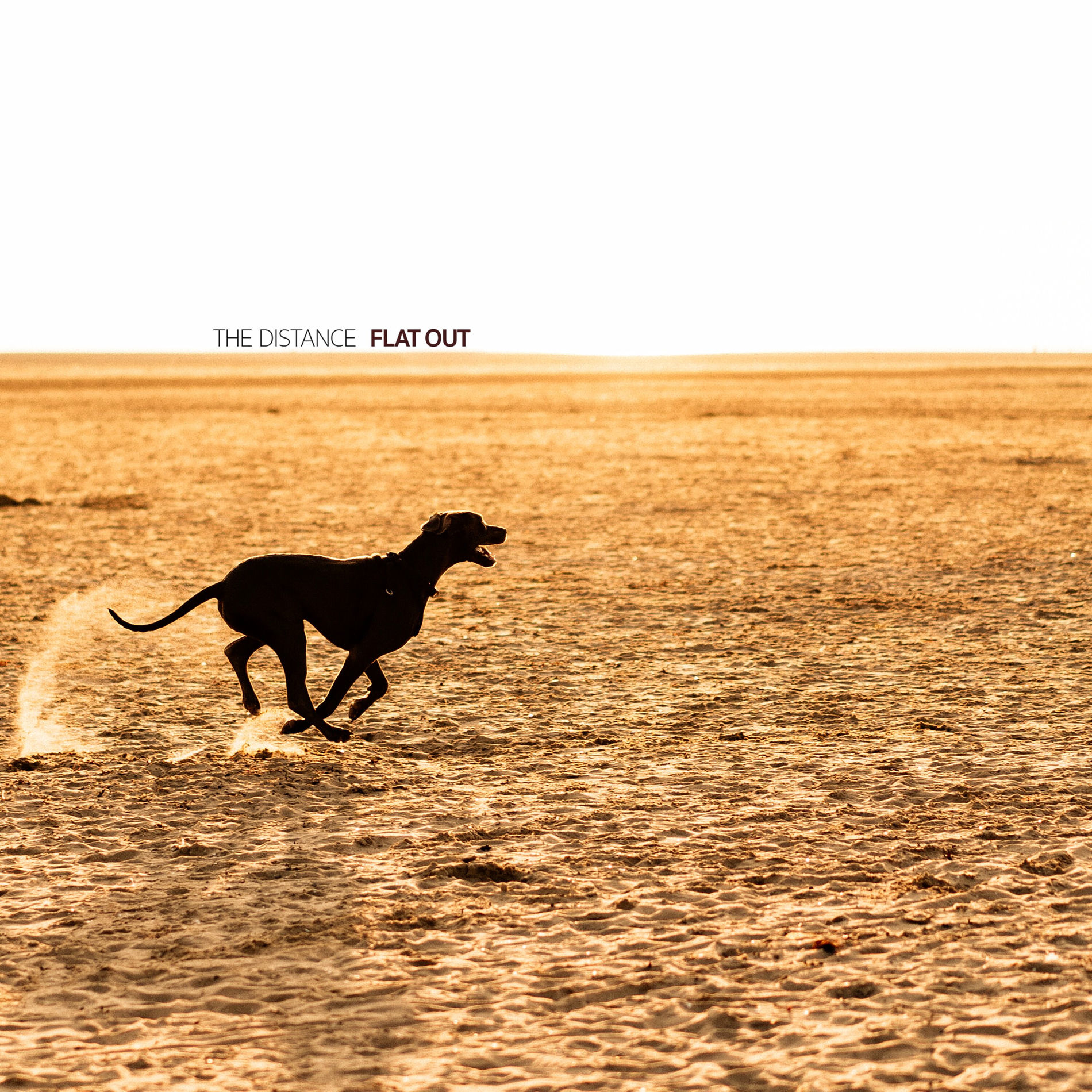 Album cover of Flat Out
