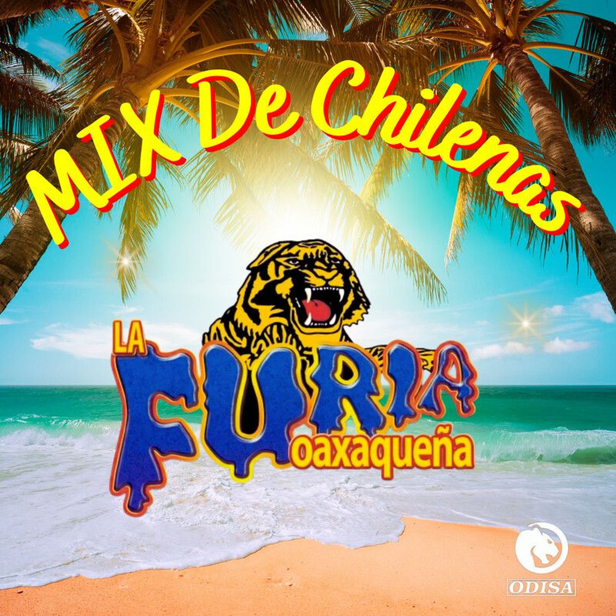 Album cover of Mix De Chilenas: El Tequereque/ Putlequita/ Guerrero Lindo/ La Revolcada/ Sabor A Costa/ Delirio De Amor/ La Yerba Buena/ Huazolot