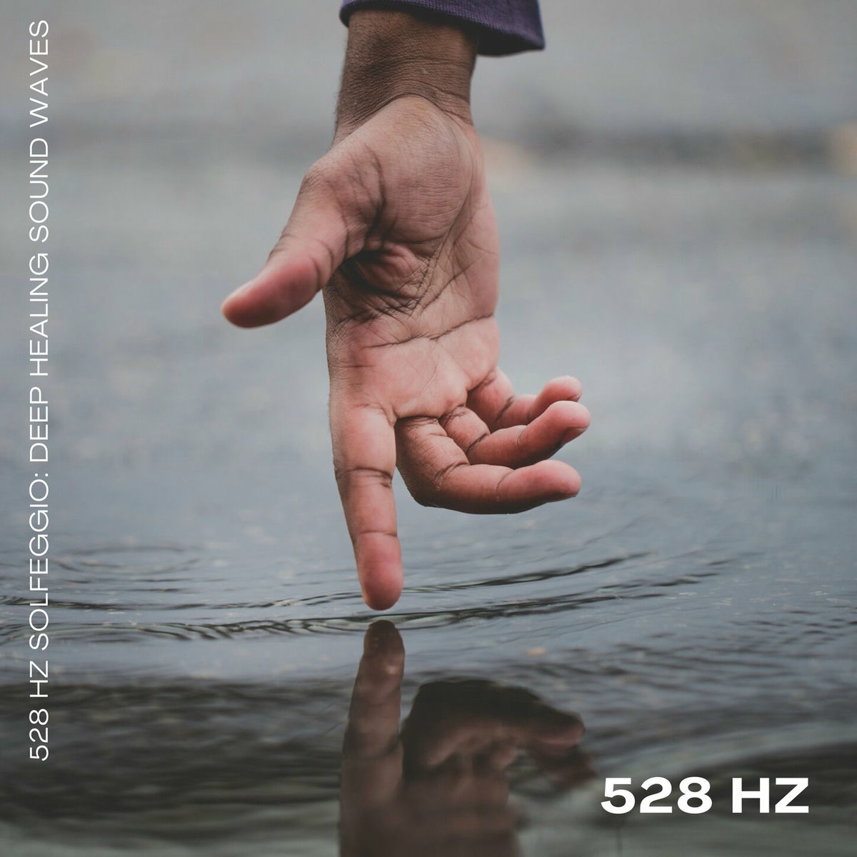 Album cover of Transcendental Calm