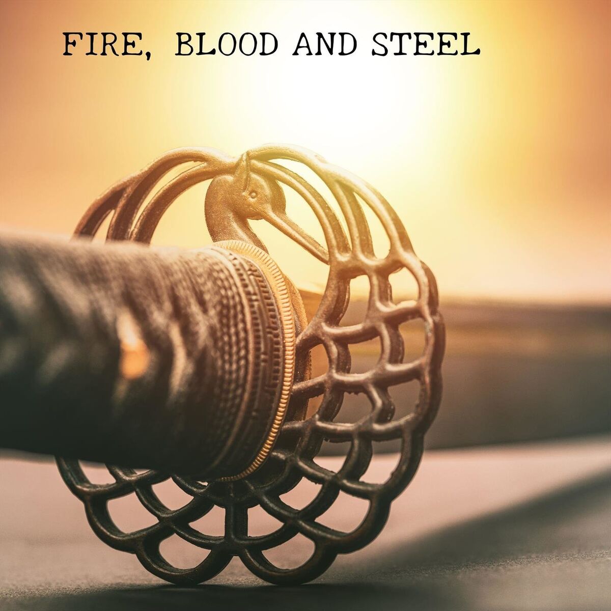Album cover of Fire, Blood and Steel