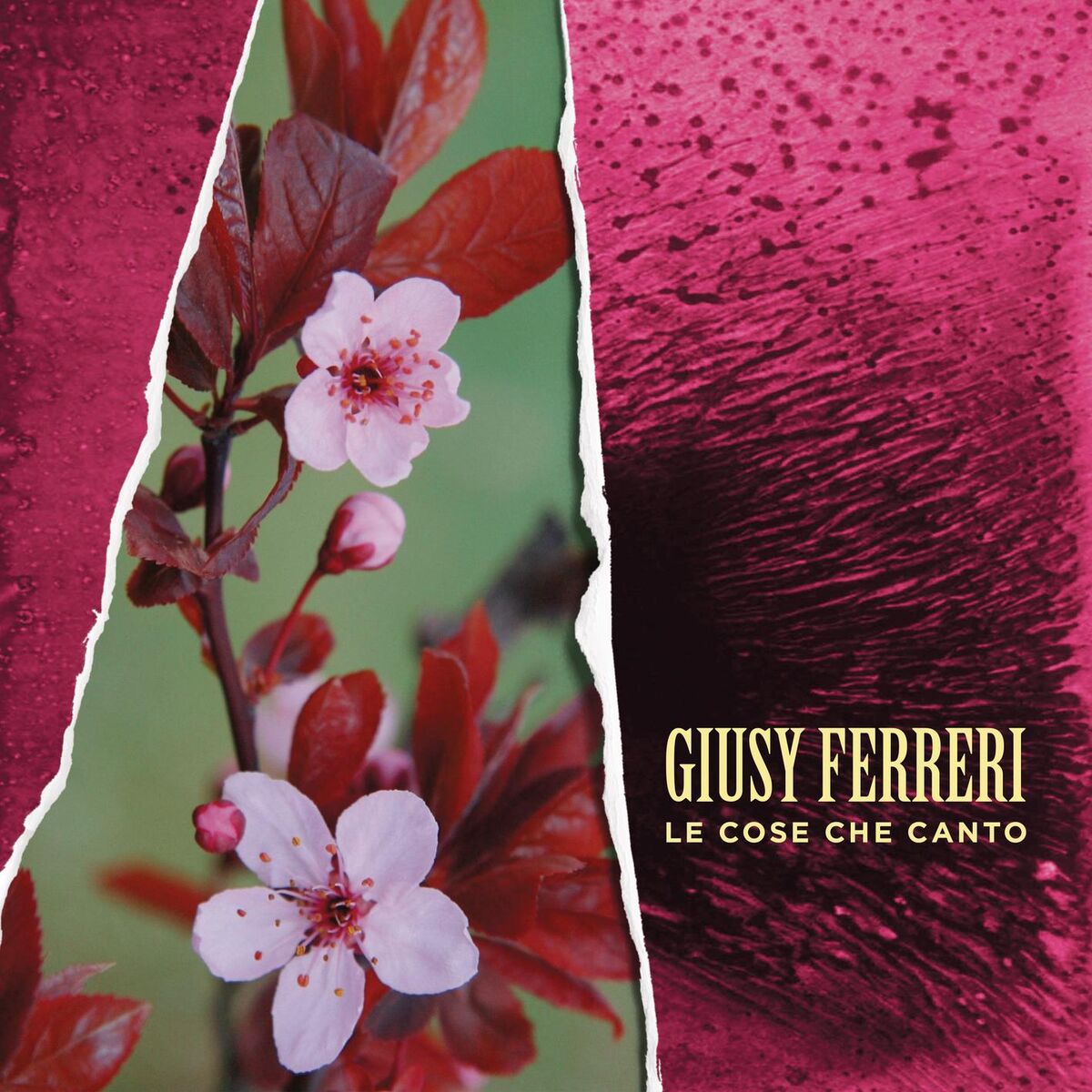 Album cover of Le cose che canto