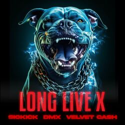 Cover of Long Live X