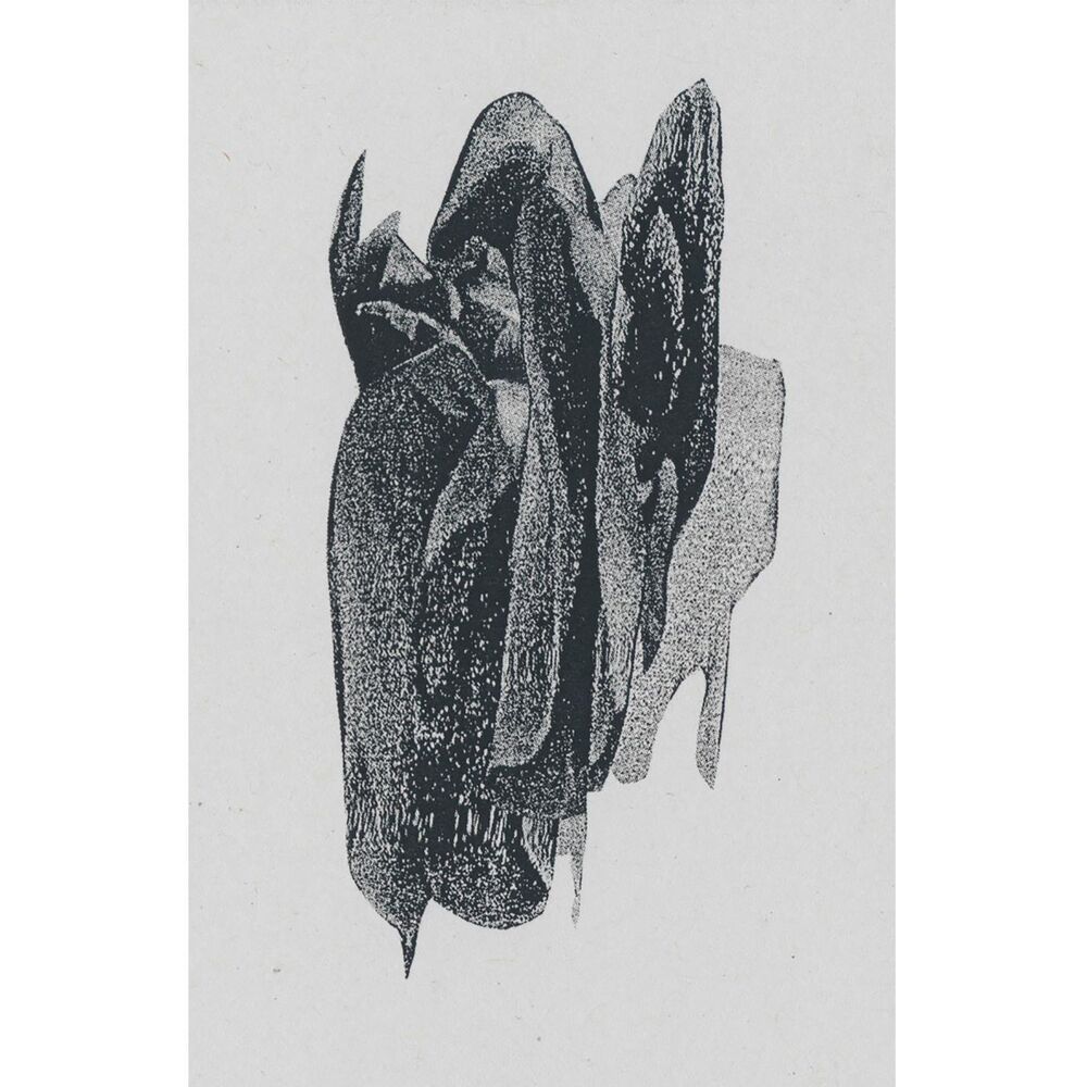 Picture of Moths