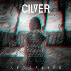 Cover of Afterlife