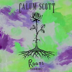 Cover of Roots (Seeb Remix)