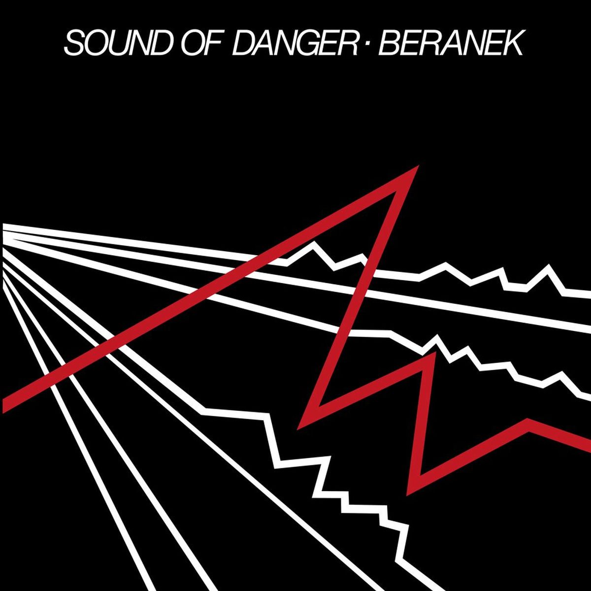 Album cover of Sound of Danger