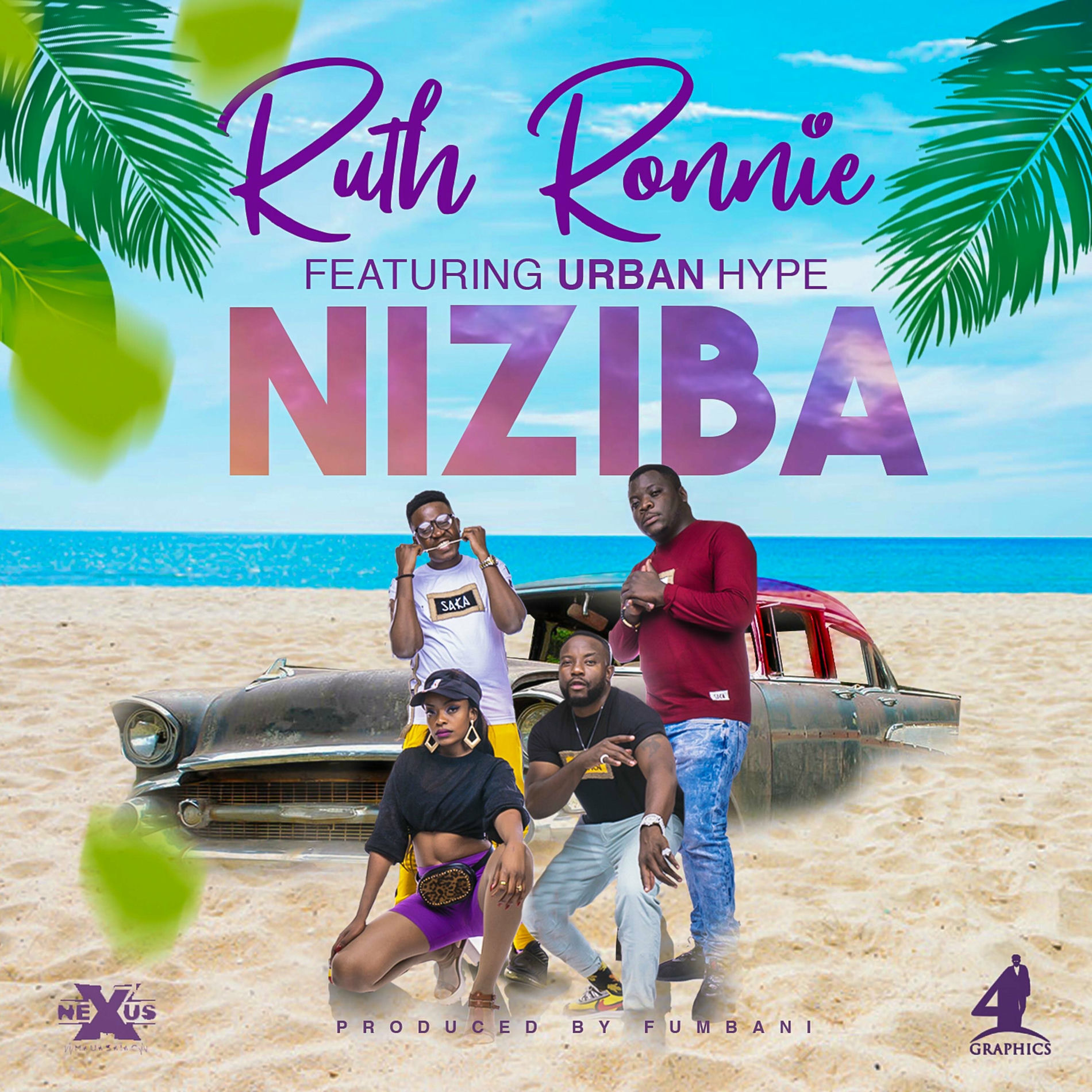 Album cover of Niziba (feat. Urban Hype)