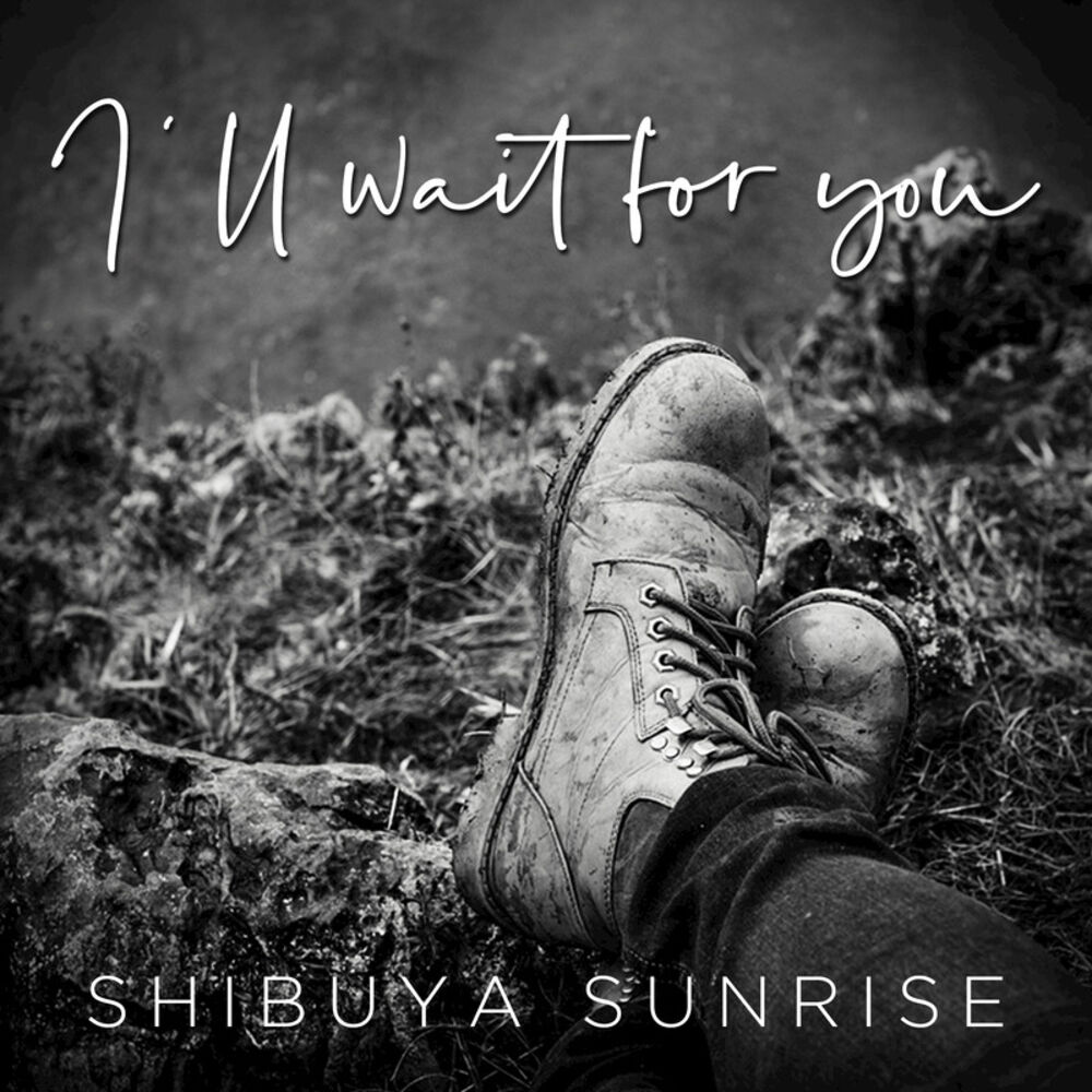 Picture of I'll Wait for You