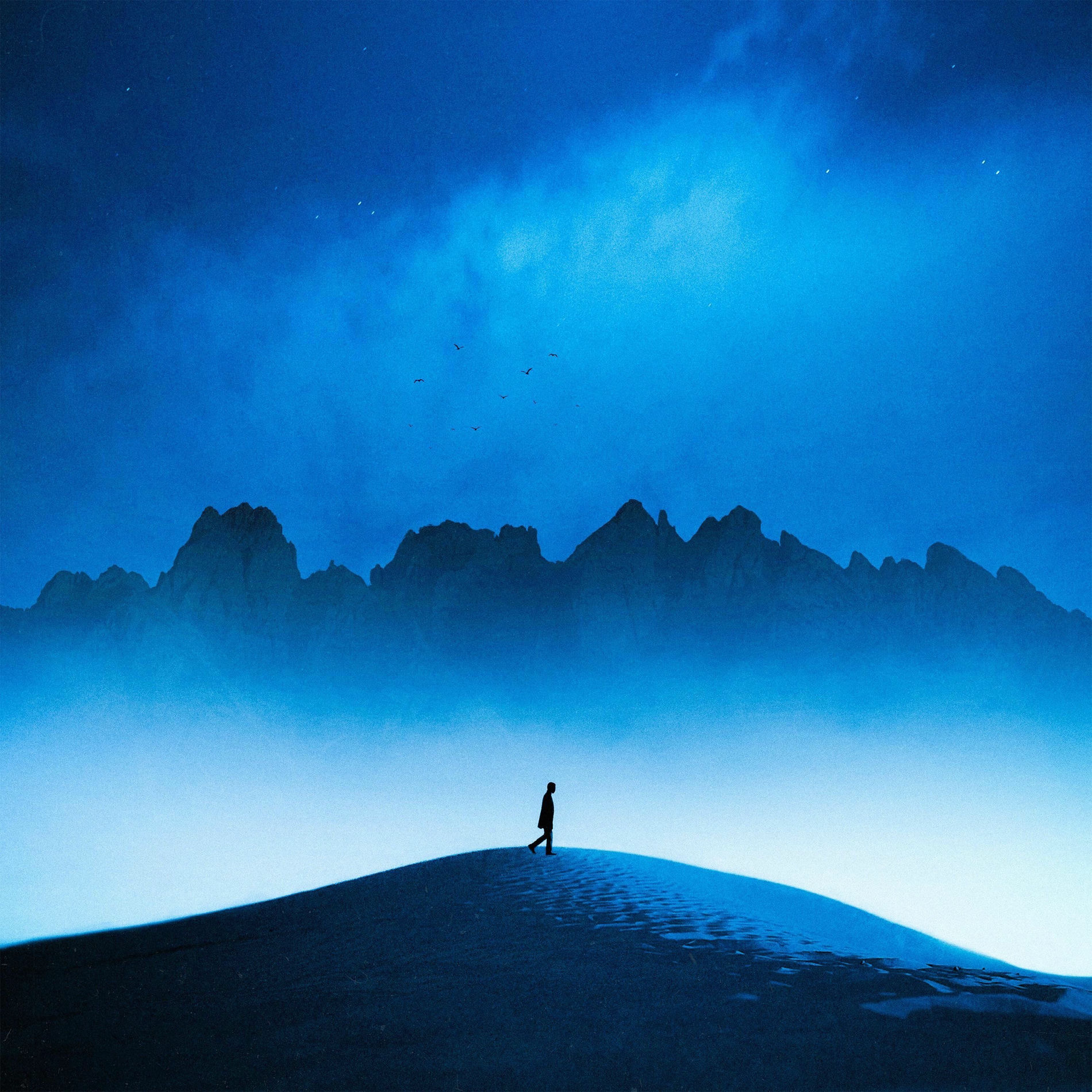 Album cover of Digital Heaven