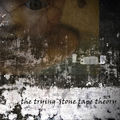 Stone Tape Theory