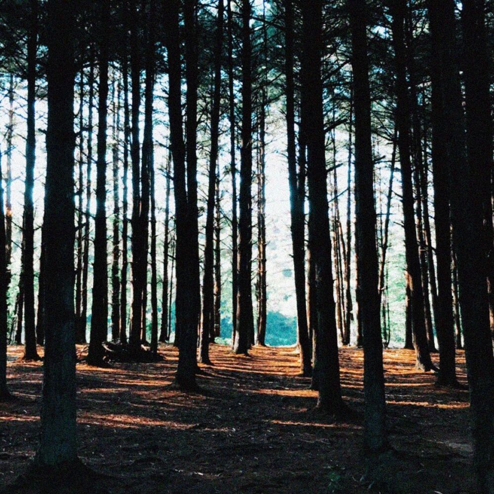 Picture of Explore