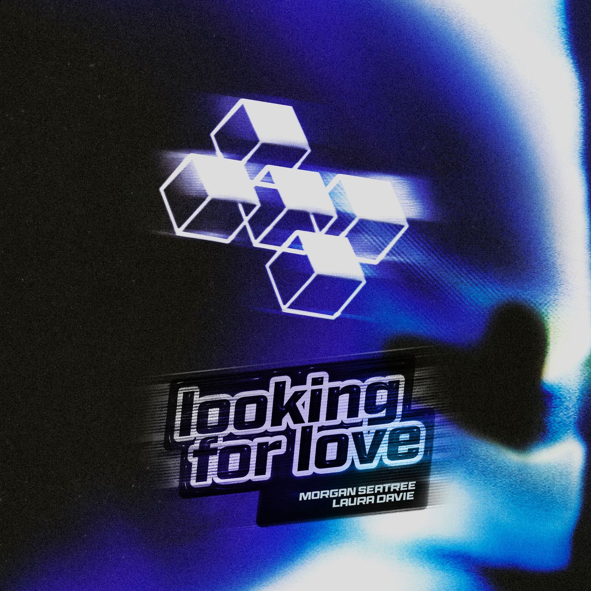 Album cover of Looking For Love