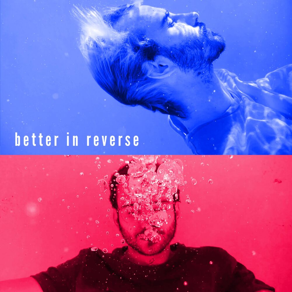 Picture of Better in Reverse