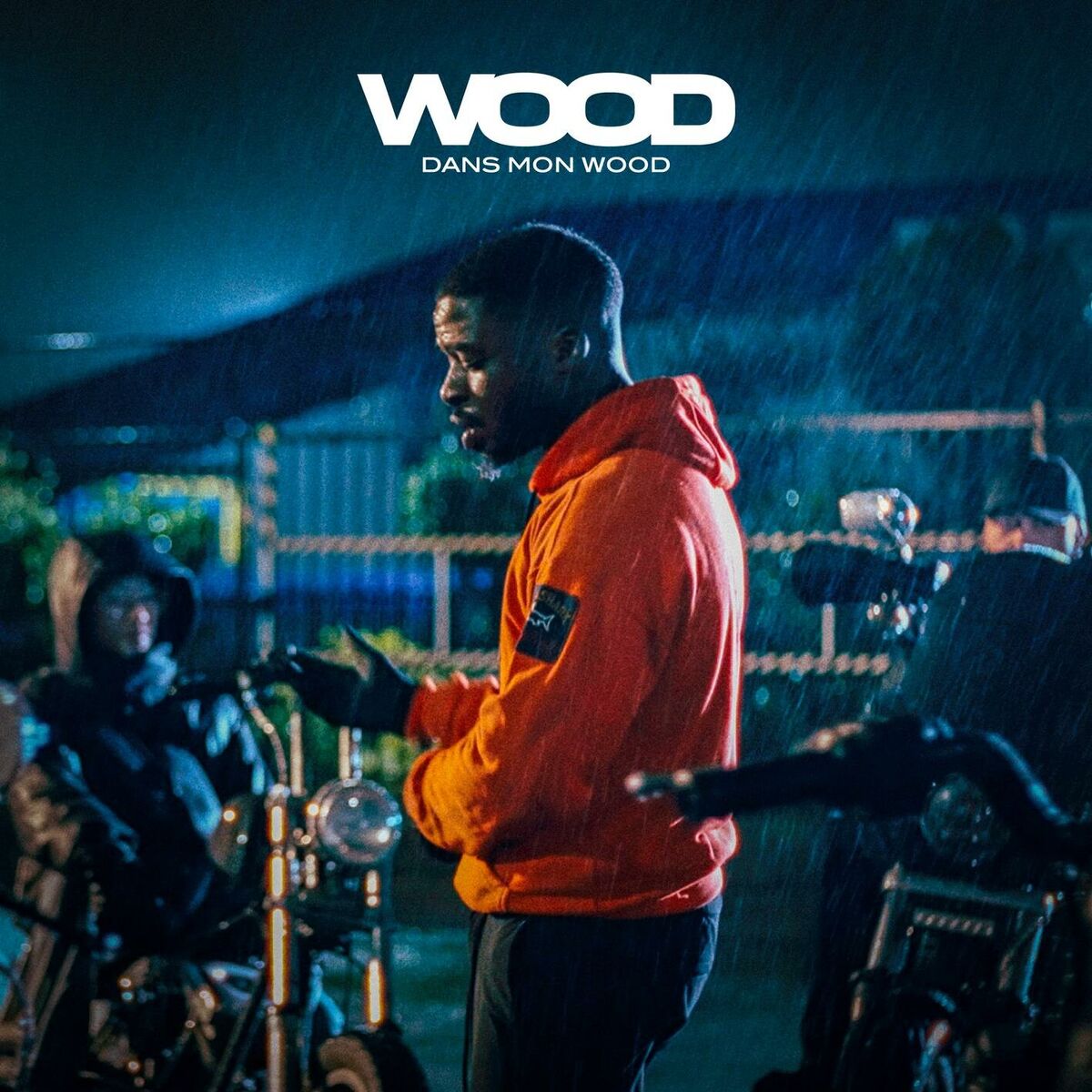 Album cover of Dans mon Wood
