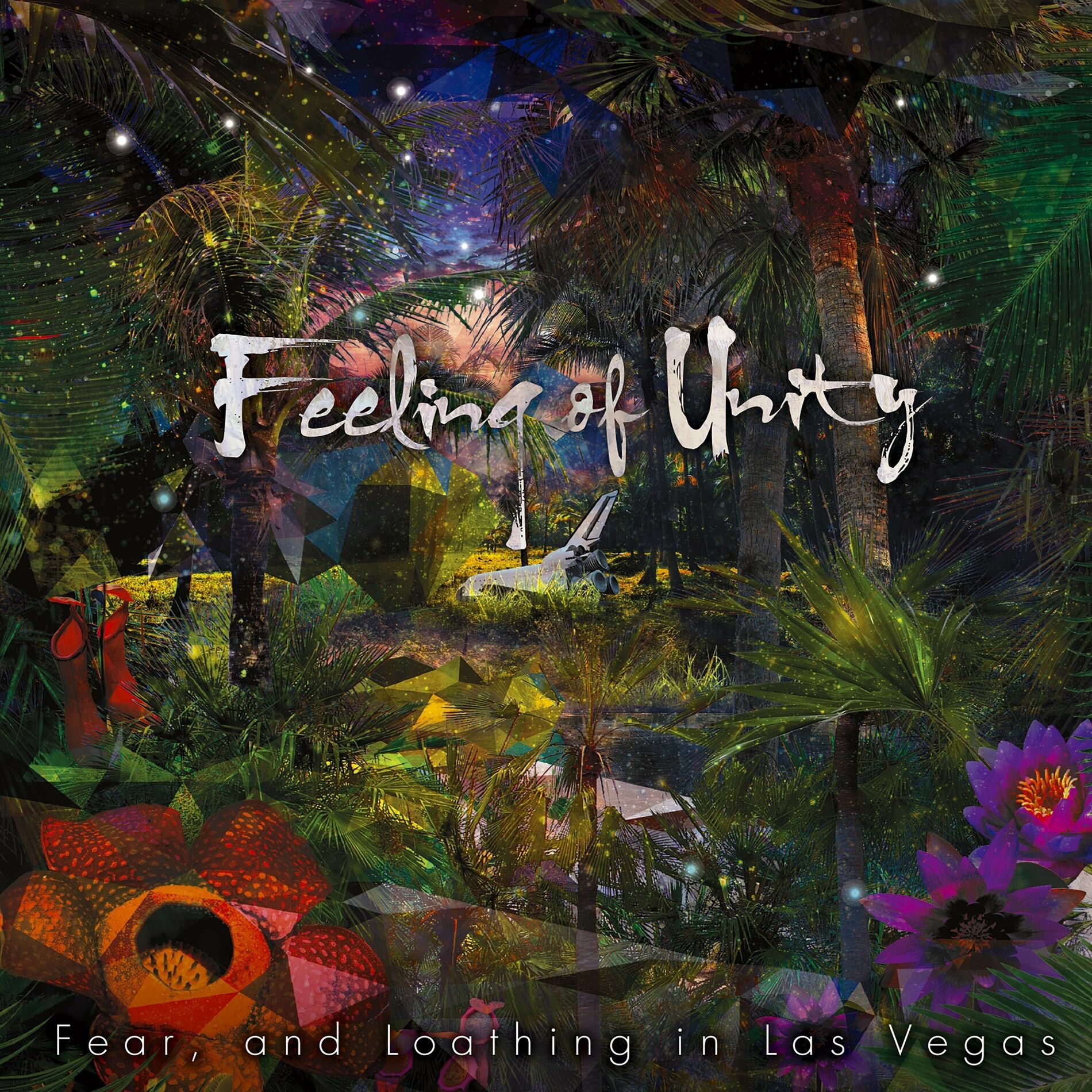 Album cover of Feeling of Unity