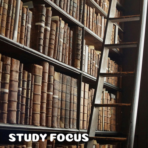 Binaural Study Focus