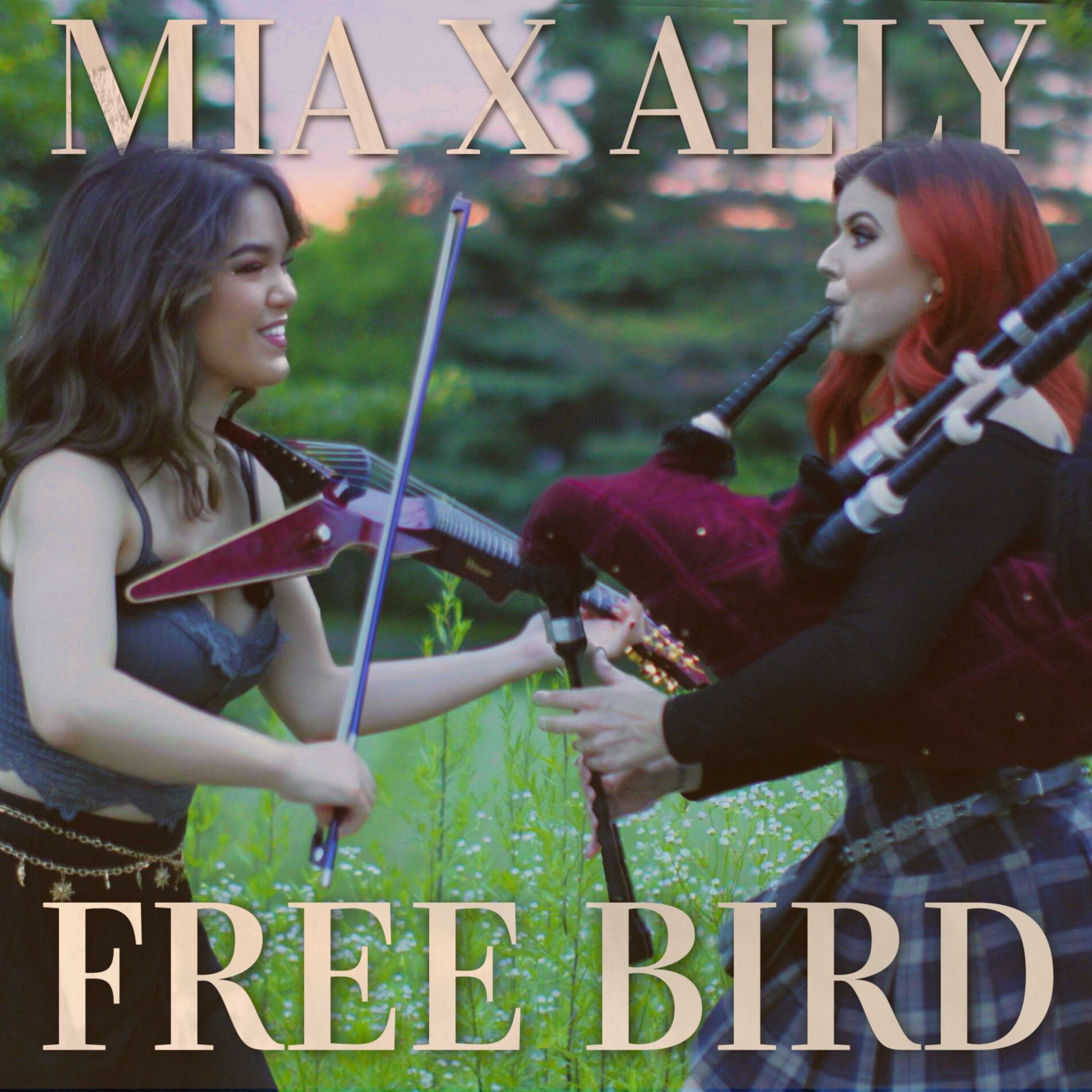 Album cover of Free Bird