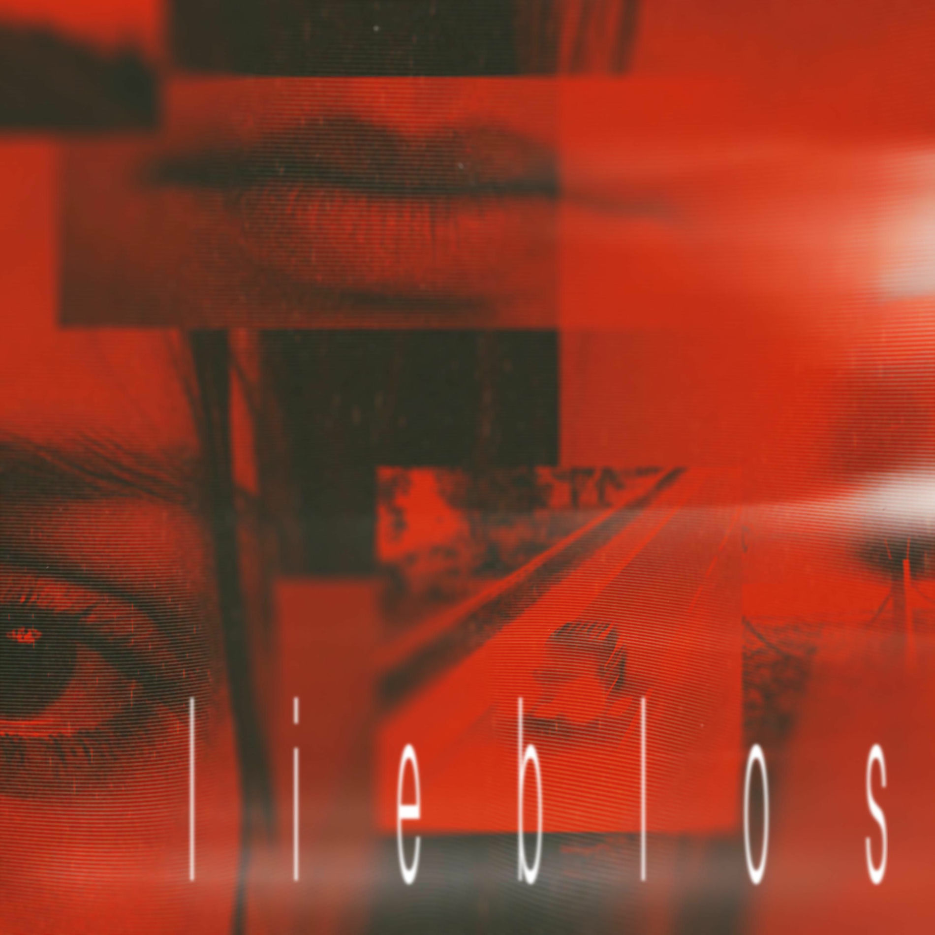 Album cover of lieblos