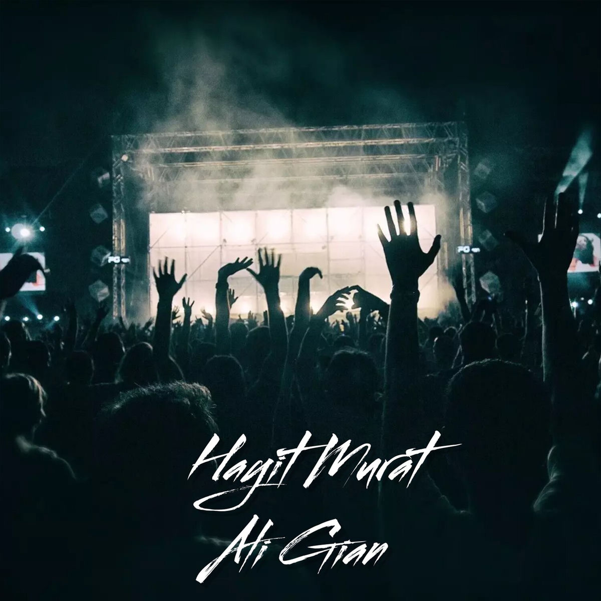 Album cover of Ali Gian