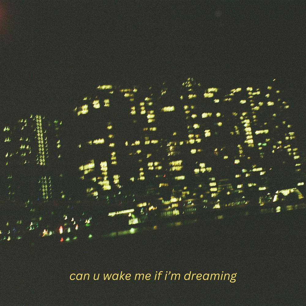 can u wake me if i'm dreaming artwork