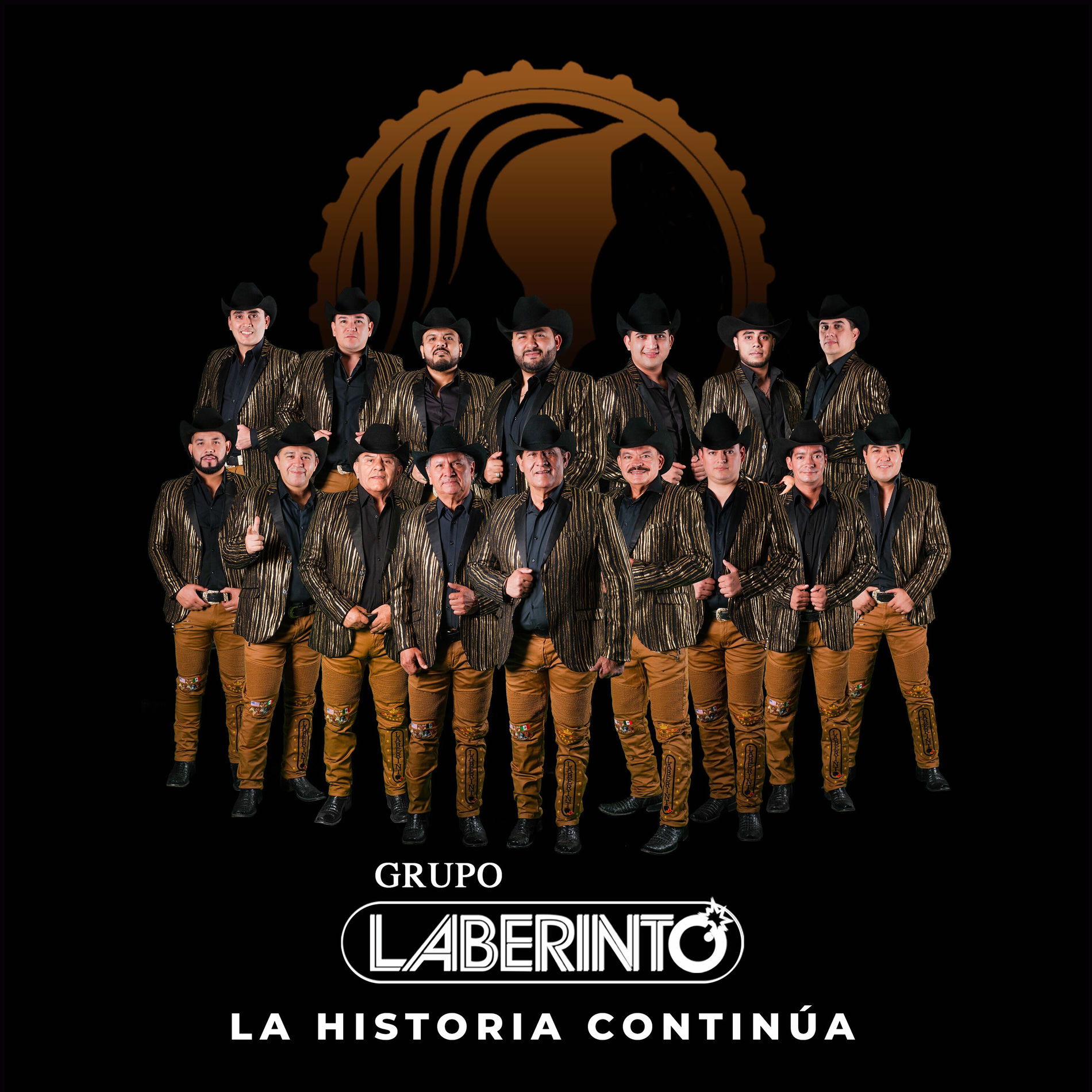 Album cover of Pa' Que Son Pasiones