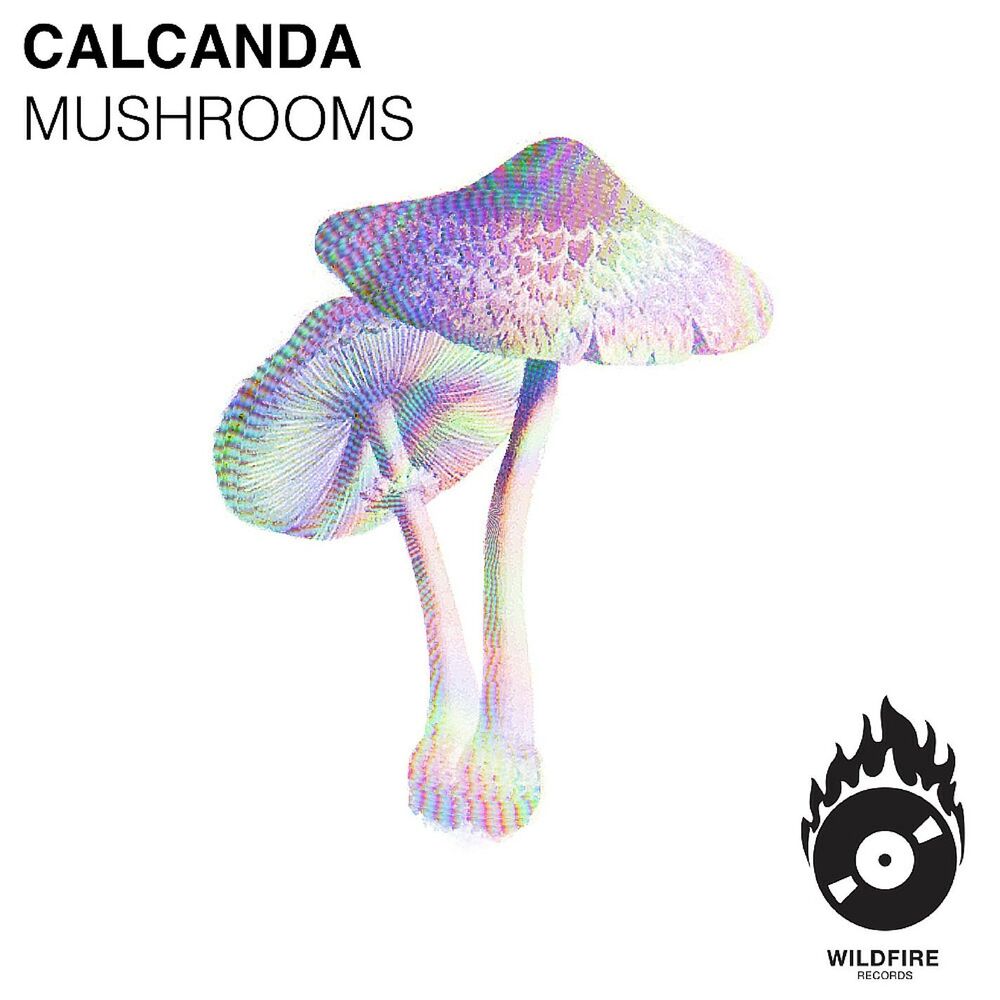 Picture of Mushrooms