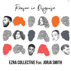 Cover of Reason in Disguise