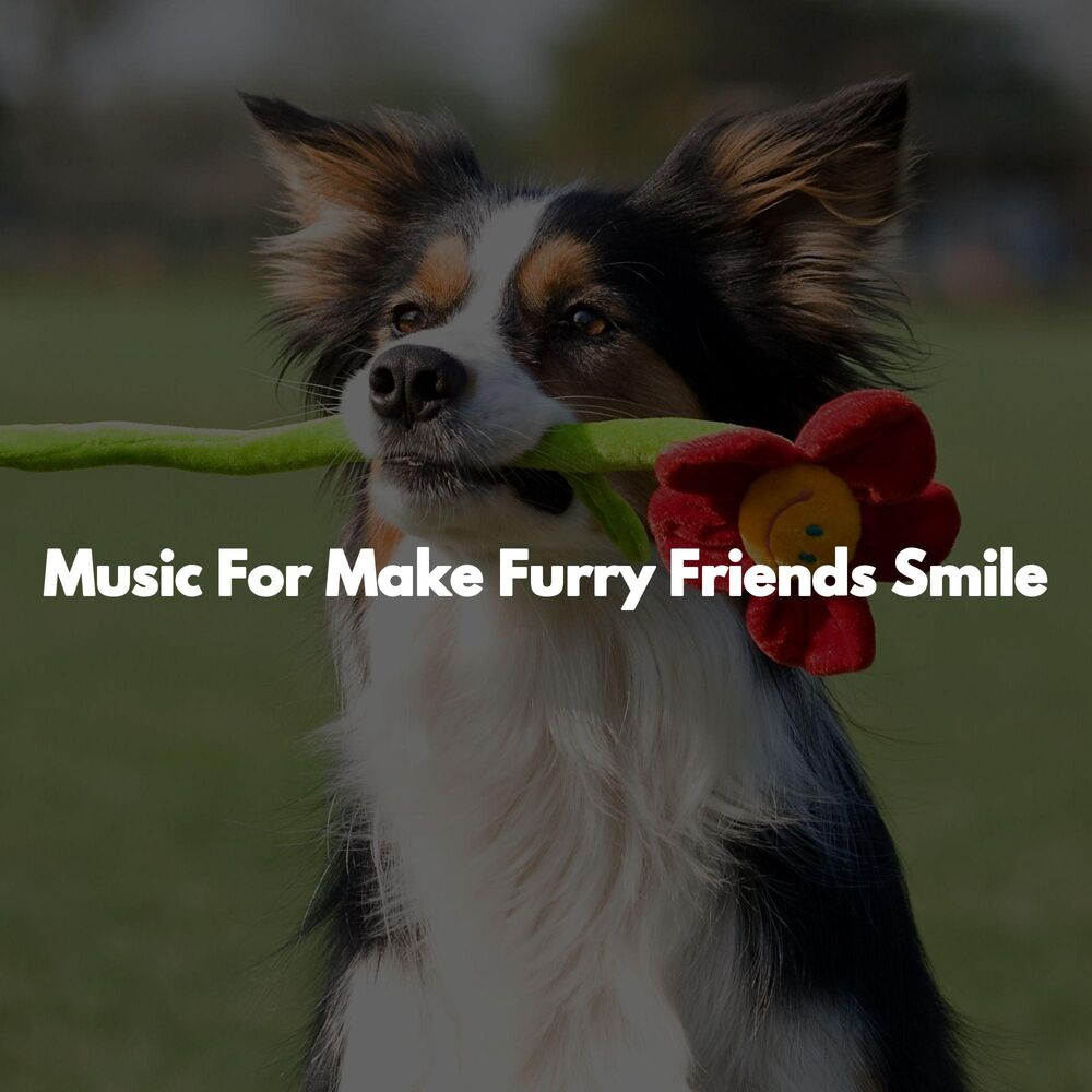 Picture of Music For Make Furry Friends Smile
