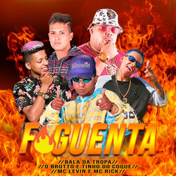 Cover of Foguenta