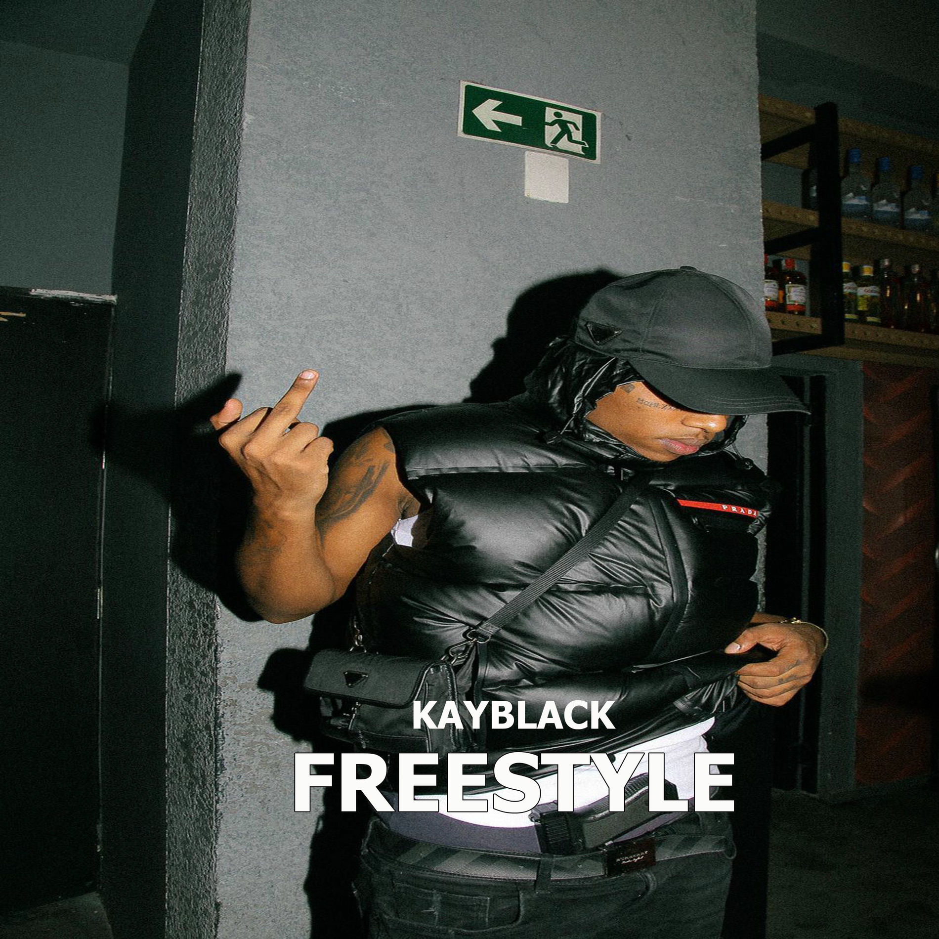 Album cover of Freestyle