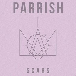 Cover of Scars