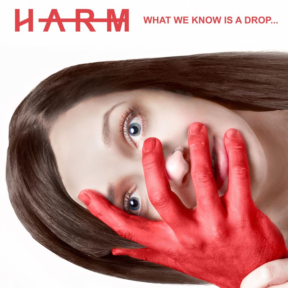 Picture of What We Know Is a Drop