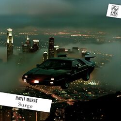 Cover of Surge
