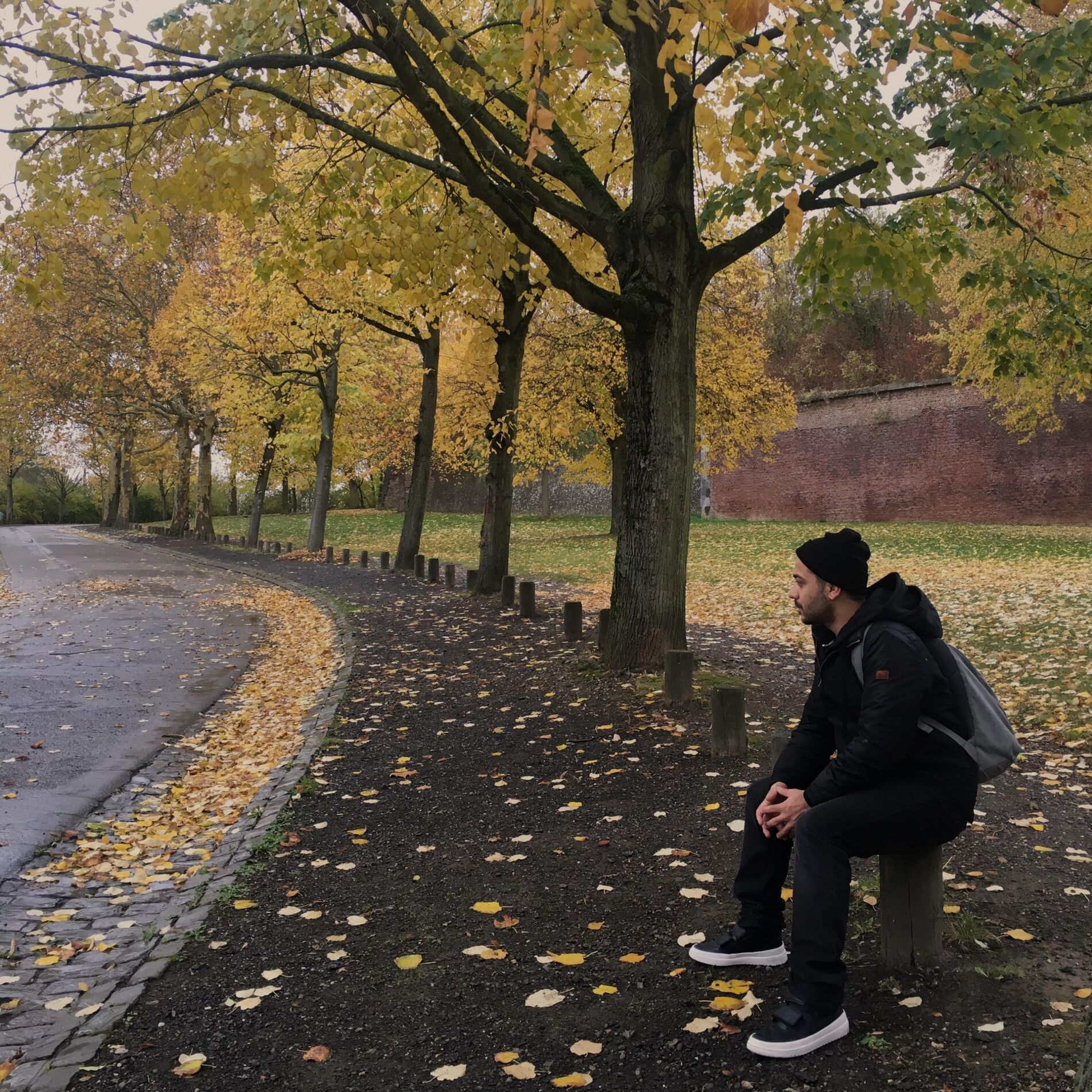 Album cover of Sonbahar