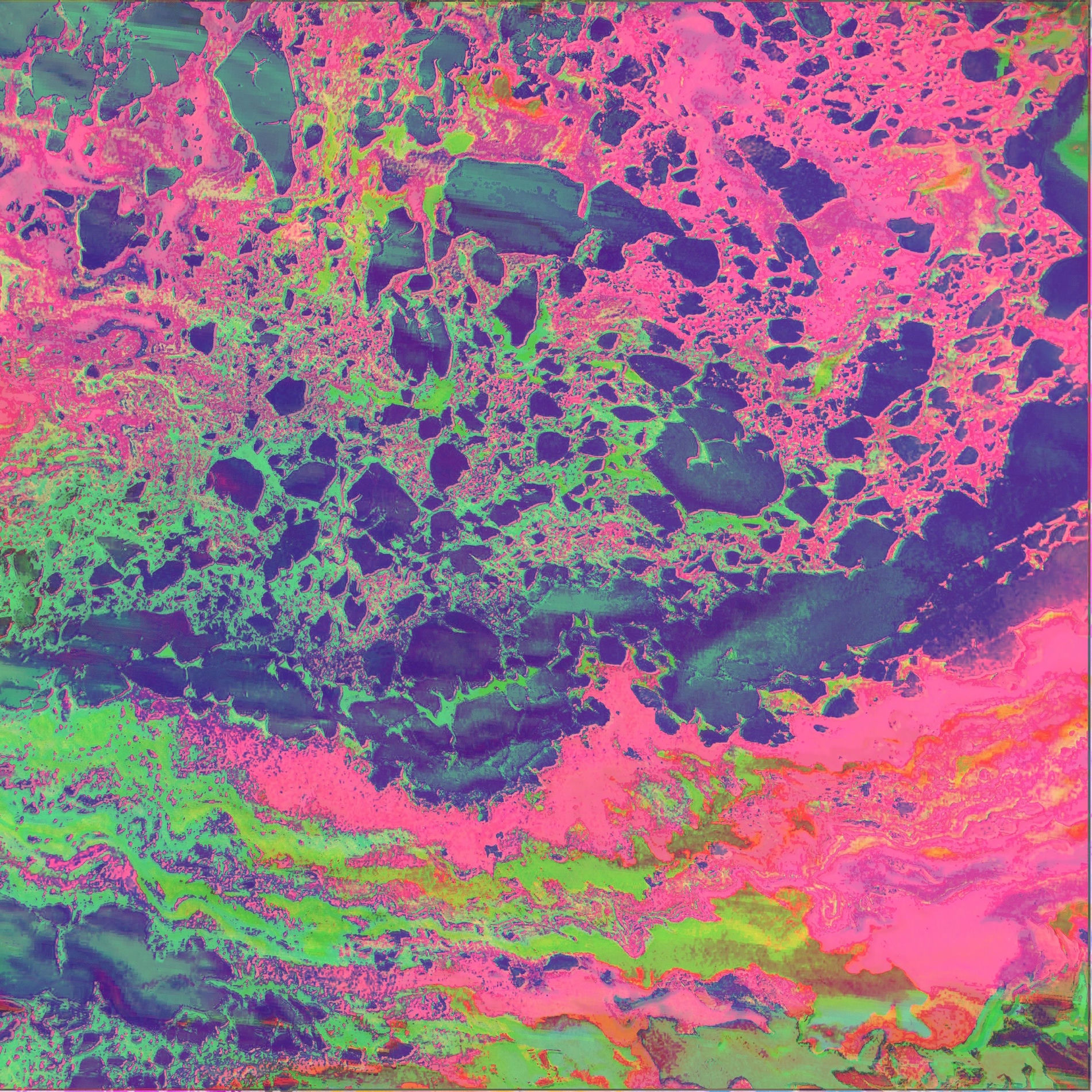 Album cover of Feel