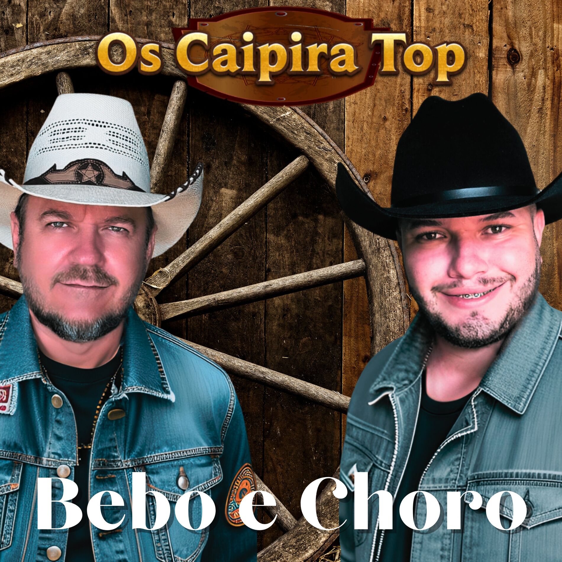 Album cover of Bebo e Choro