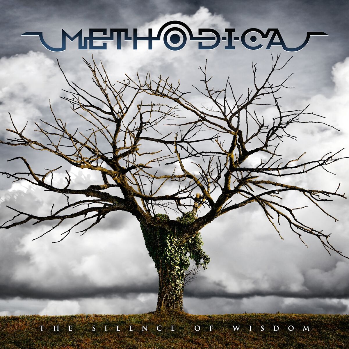 Album cover of The Silence of Wisdom
