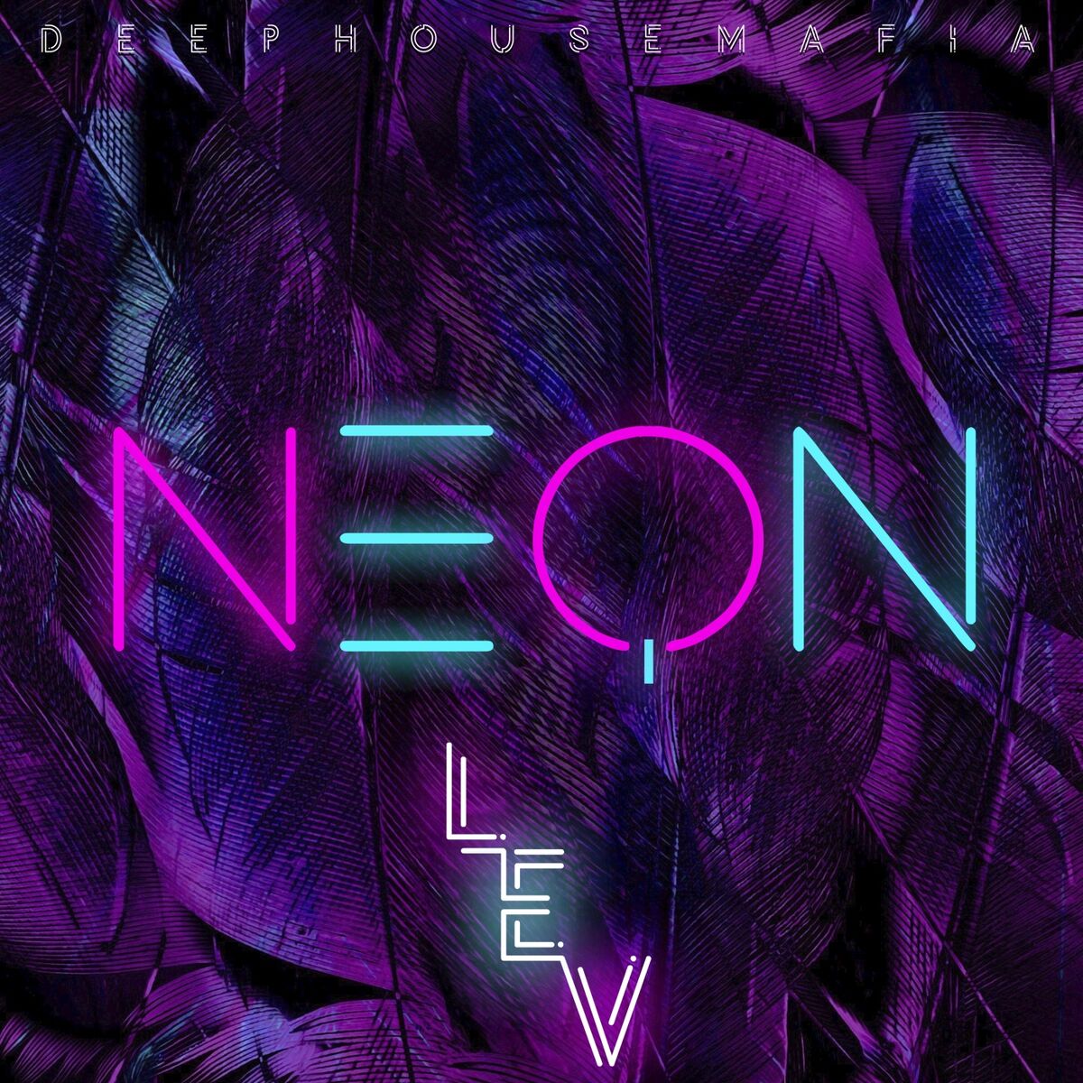 Album cover of Neon