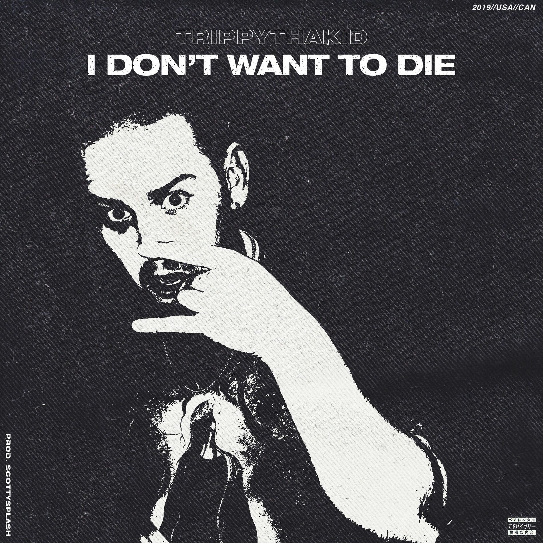 Album cover of I Don't Wanna Die (feat. Trippy Tha Kid)