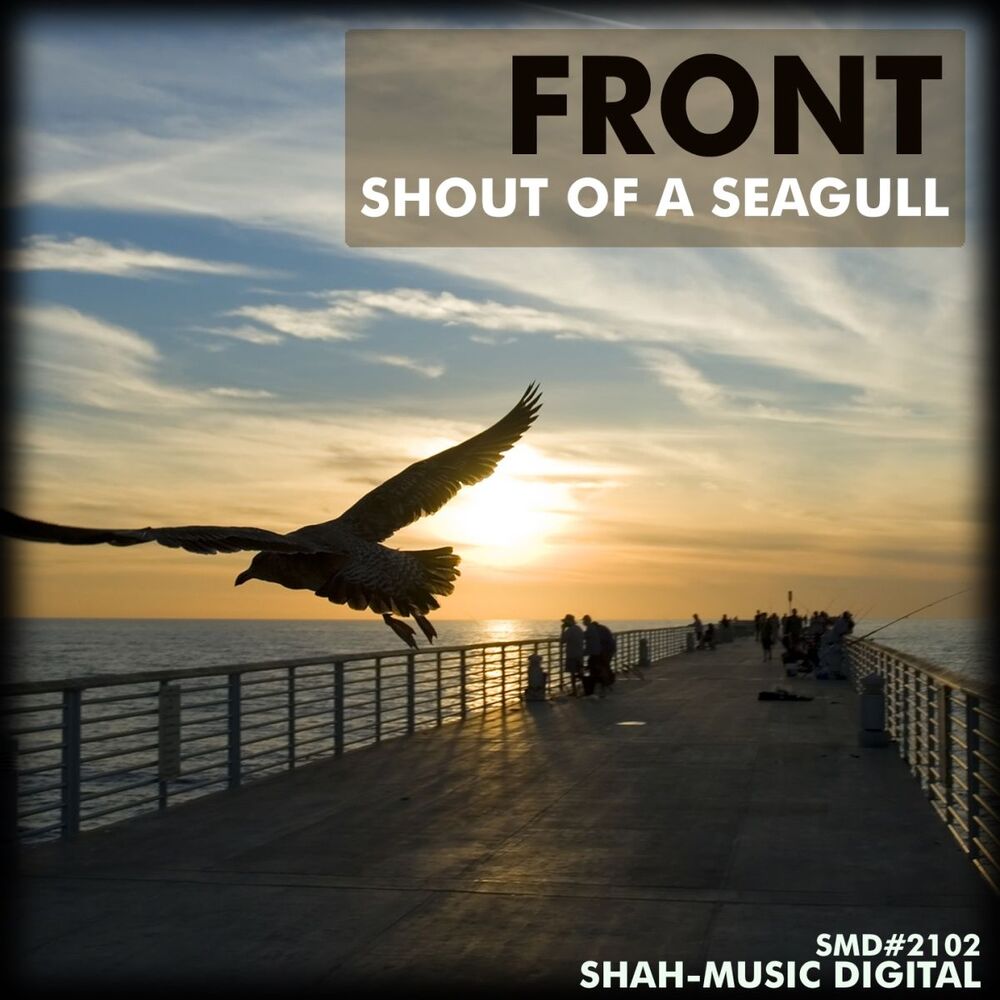 Picture of Shout of a Seagull