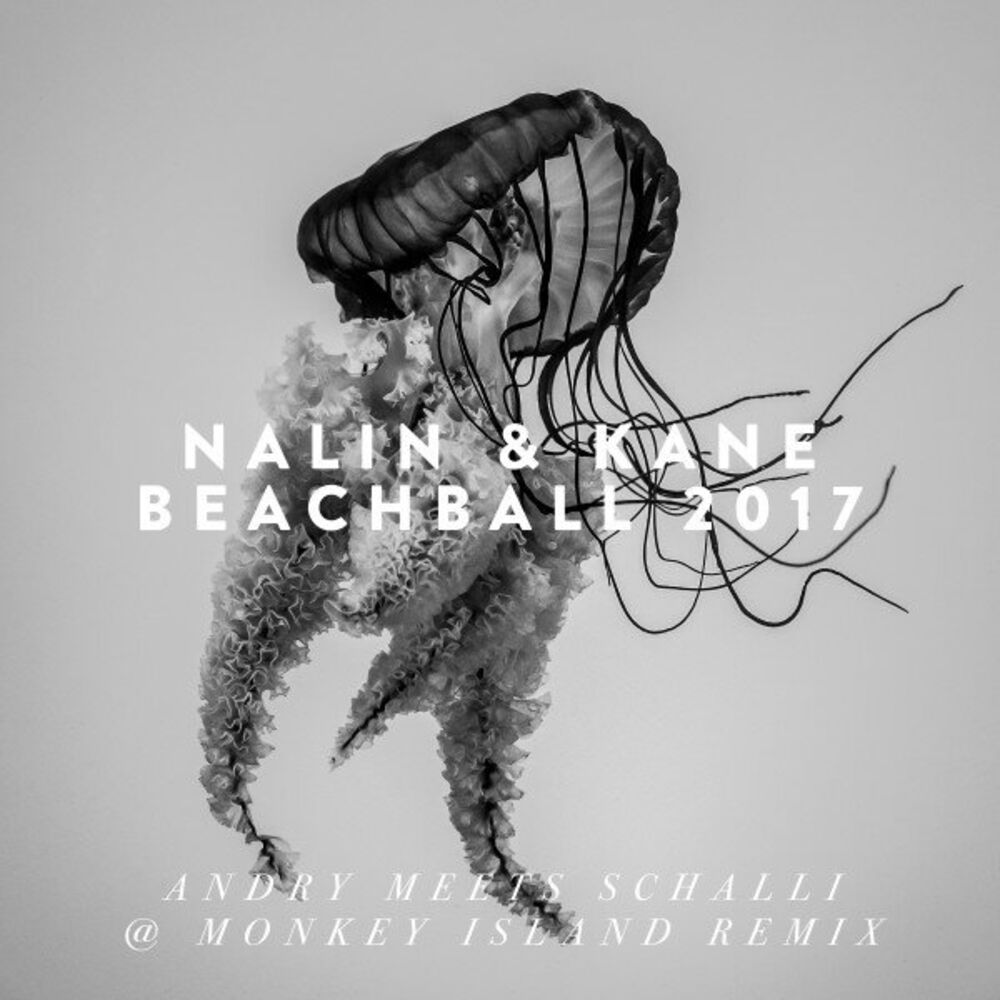 Picture of Beachball (Andry Meets Schalli @ Monkey Island Remix)