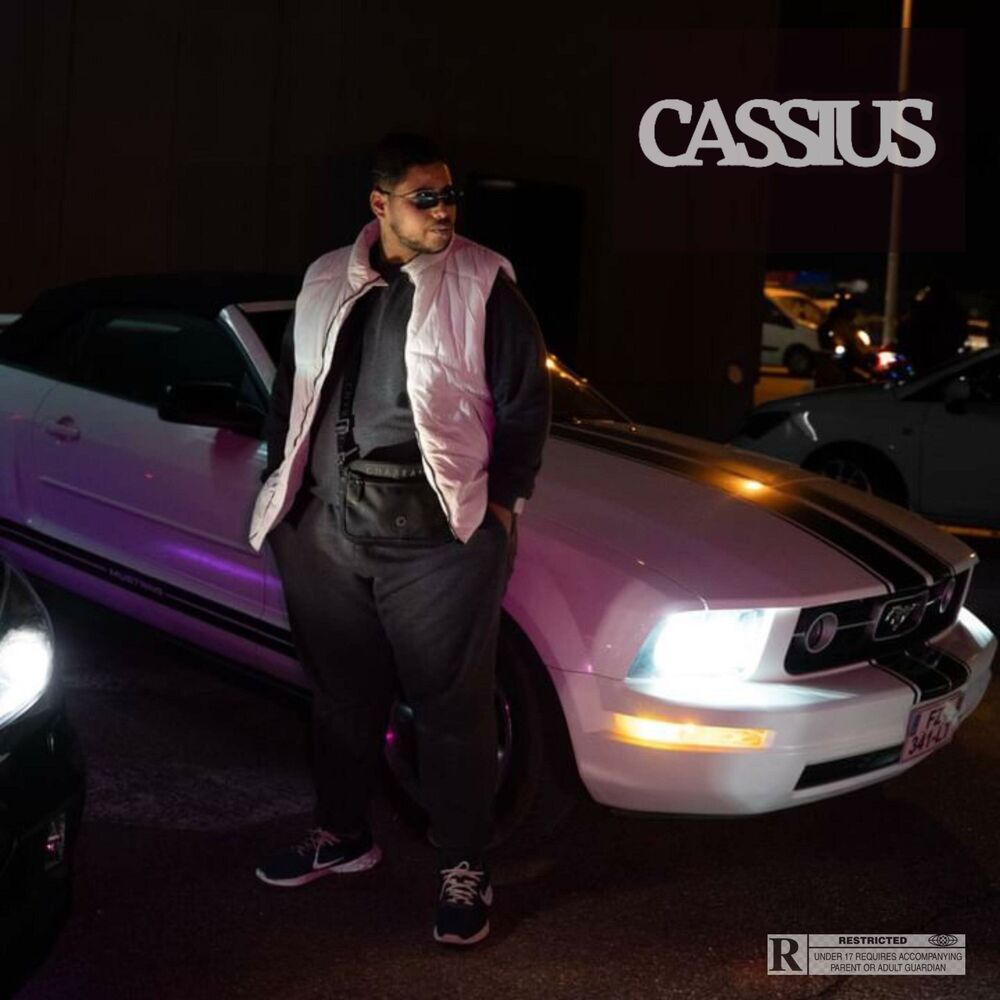 Picture of CASSIUS