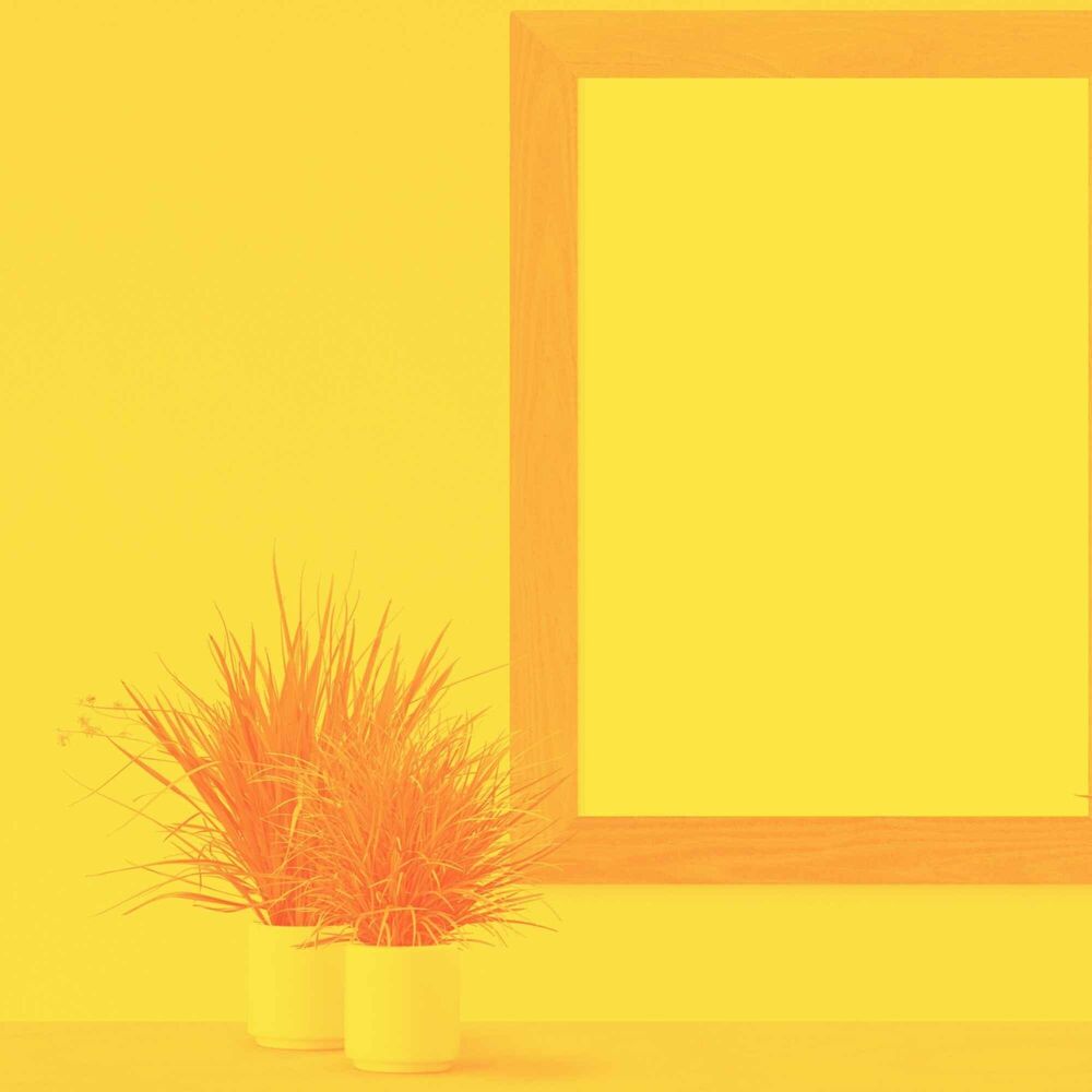 Picture of Music for Safe Colors