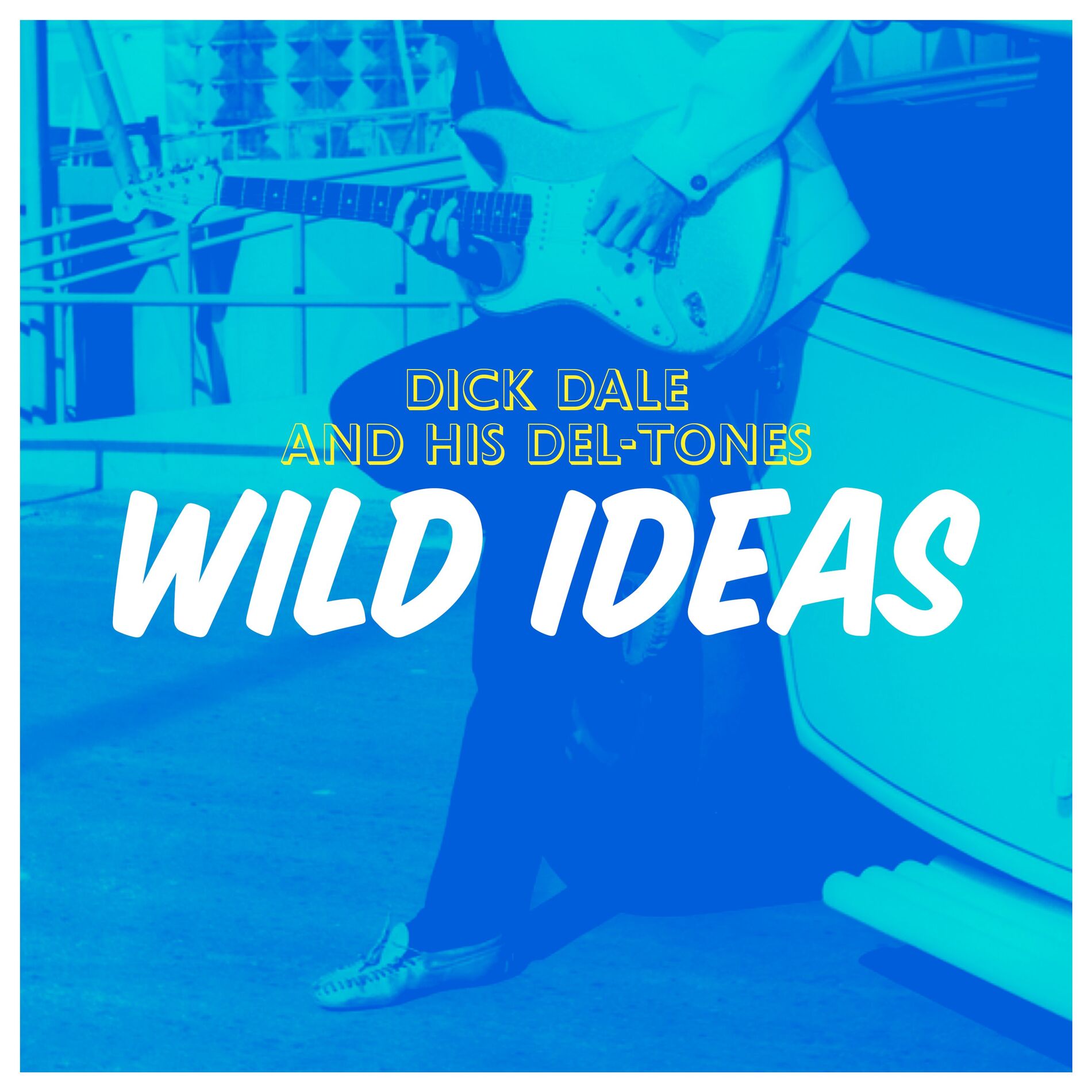 Album cover of Wild Ideas